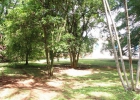 fazenda-ibicaba-29